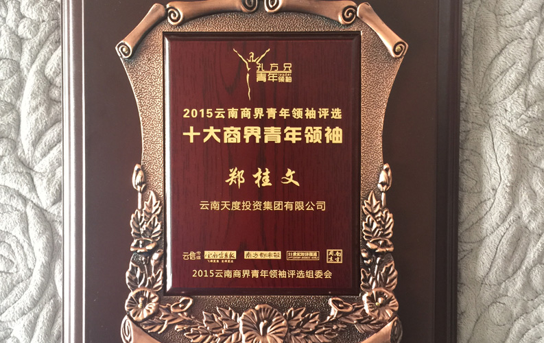 在“互聯(lián)網(wǎng)大時代”的背景下，天度作為本土很大和很有名的互聯(lián)網(wǎng)服務企業(yè)，為近萬家傳統(tǒng)企業(yè)轉(zhuǎn)型互聯(lián)網(wǎng)+提供了服務和幫助，獲此獎項后，我們將再接再厲，創(chuàng)造更高的社會價值
